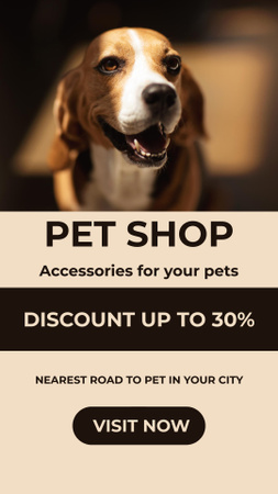 Pet Care Ad with Dog Instagram Story Design Template