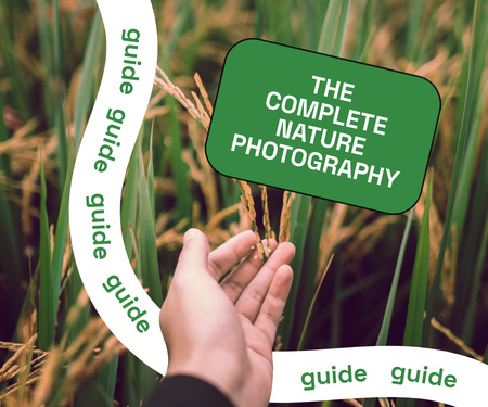 Plantilla de diseño de guía fotográfica con mano en campo de trigo Large Rectangle 