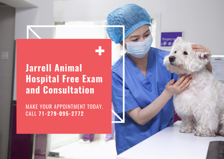Dog in Animal Hospital Postcard Design Template