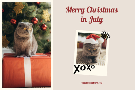 Boldog karácsonyt júliusban aranyos brit macskával Mood Board tervezősablon