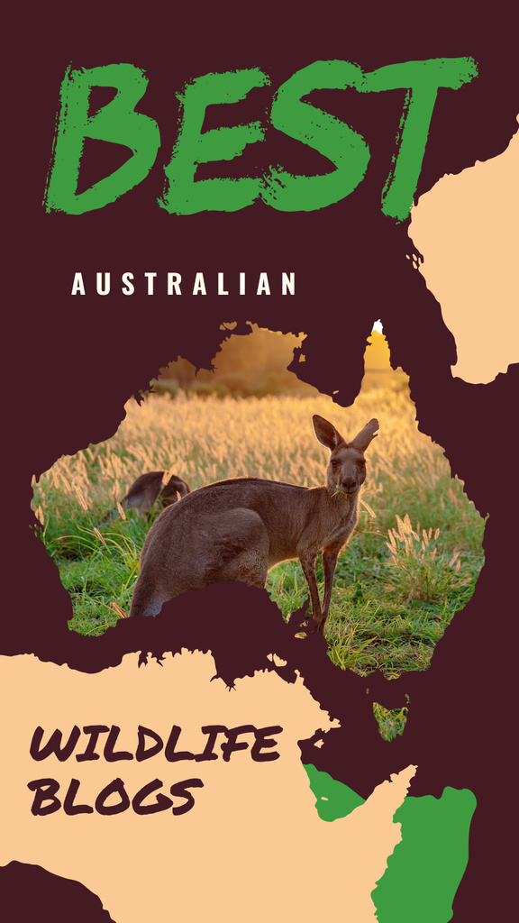 Wild kangaroo in nature Instagram Story – шаблон для дизайну