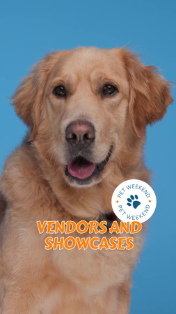 Big Pet Breeders Fair With Various Pets And Showcases TikTok Video Design Template
