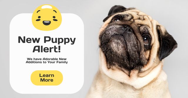 Cute Puppies of French Bulldog Facebook AD Modelo de Design