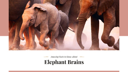 Ontwerpsjabloon van Presentation Wide van Facts about elephants Ad