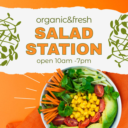 Oferta de Salada Orgânica e Fresca Instagram Modelo de Design