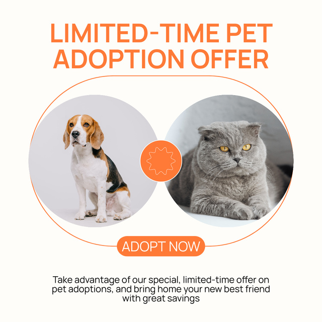 Designvorlage Limited Time Offer of Purebred Pets für Instagram AD