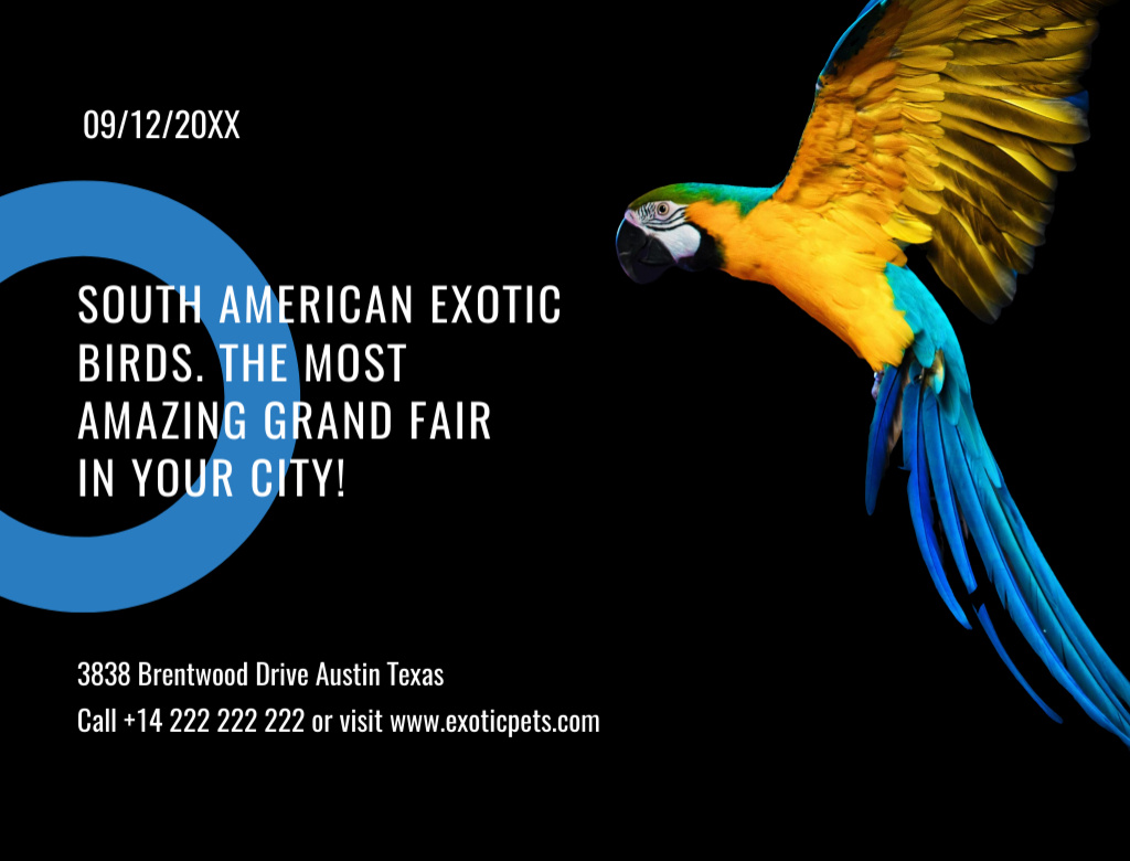 Platilla de diseño Exotic Birds Fair with Blue Macaw Parrot Postcard 4.2x5.5in