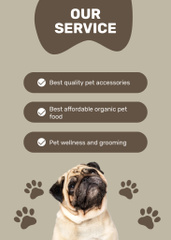 Pet Store's Offers with Pug