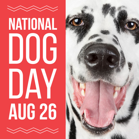 National dog day with Funny Dalmatian Instagram Design Template