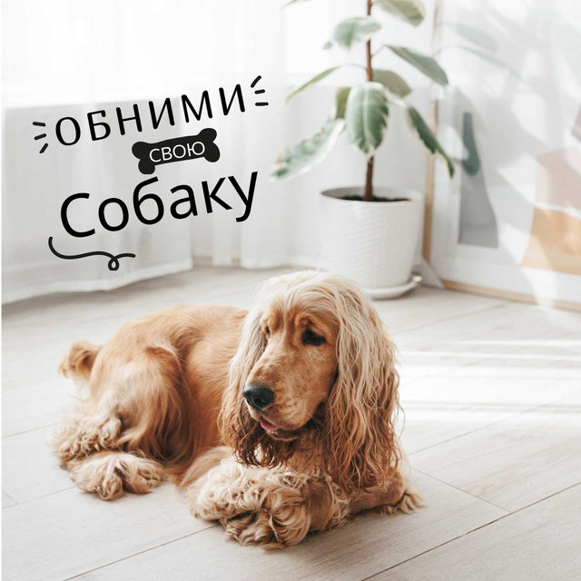 Cute Dog at Home Instagram Design Template