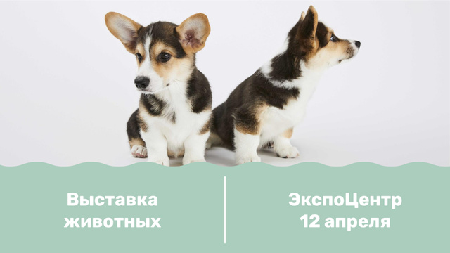 Dog show with cute Corgi Puppies FB event coverデザインテンプレート