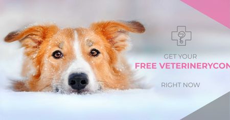 Free veterinary consultation Ad with Cute Dog Facebook AD tervezősablon
