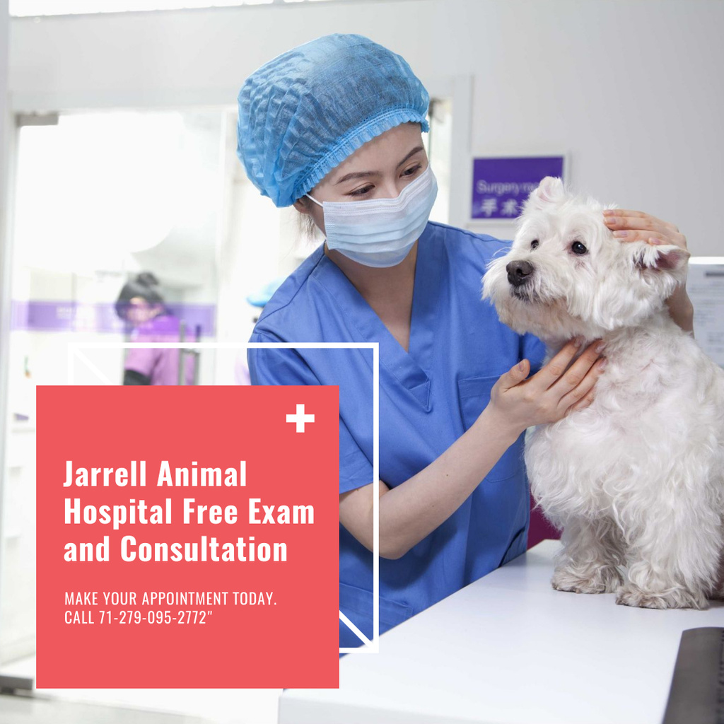 Plantilla de diseño de Animal's Exam in Veterinary Clinic Instagram AD 