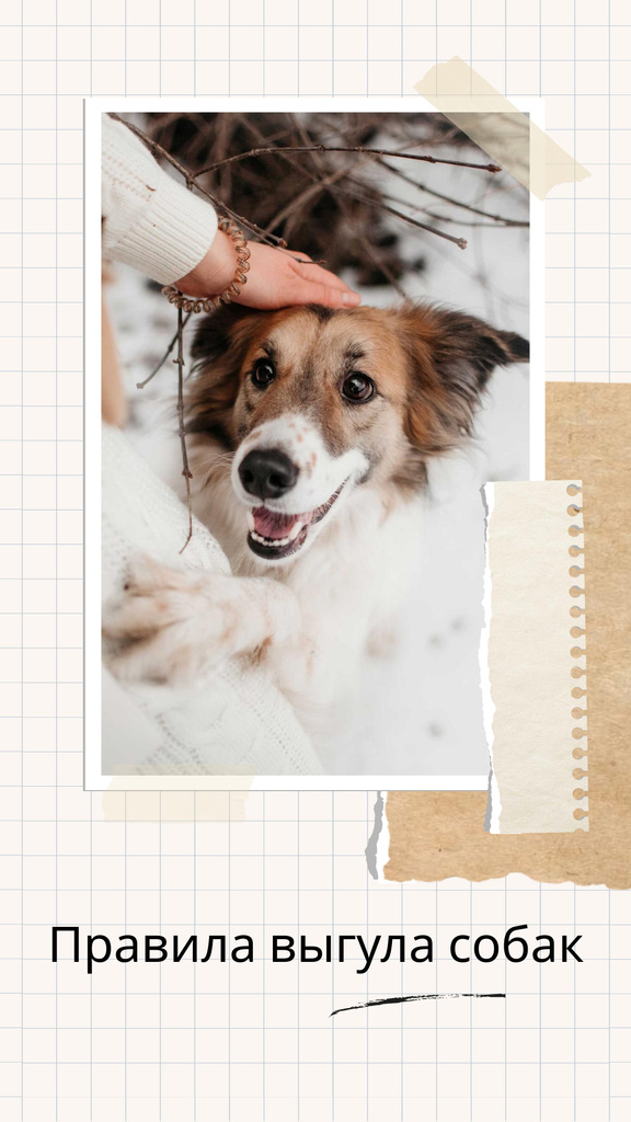 Funny Dog with owner Instagram Story – шаблон для дизайна