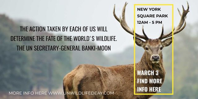 Eco Event announcement with Wild Deer Image Design Template