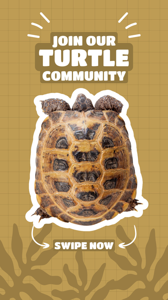 Turtle Community Promotion WIth Twigs Instagram Story Design Template