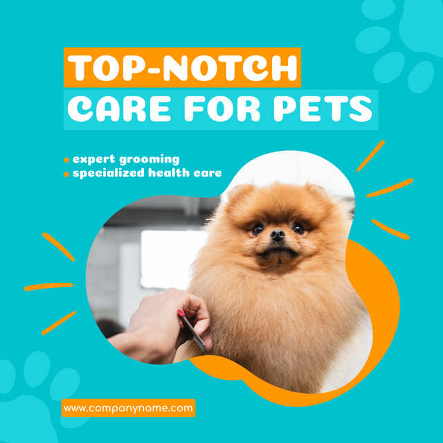 Ontwerpsjabloon van Animated Post van Best Care Services For Domestic Pets Offer
