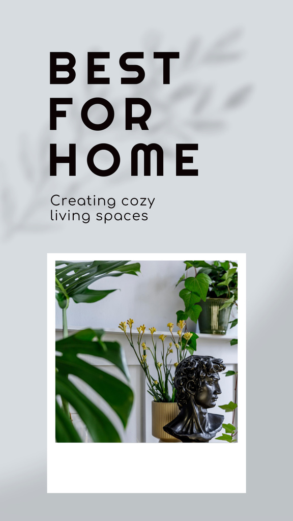 Interior Design Offer with Houseplants for Home Instagram Story Design Template