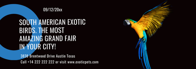 Designvorlage Exotic Birds Shop Ad Flying Parrot für Tumblr