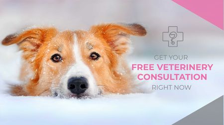 Free veterinary consultation Offer Titleデザインテンプレート