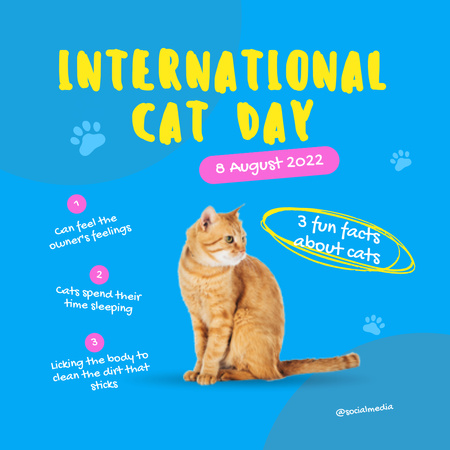 Cute Kitty for International Cat Day Anouncement  Instagram Modelo de Design