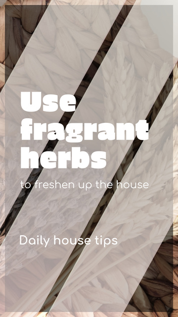Fragrant Herbs For Fresh Aroma At Home Promotion TikTok Video Design Template