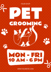 Pet Grooming Service Offer on Red