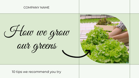 Tips For Growing Greens From Local Greenhouse Full HD video Design Template