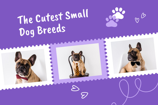 Plantilla de diseño de Information about the Cutest Small Dog Breeds Mood Board 