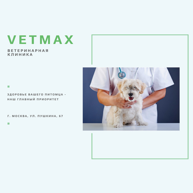 Veterinarian holding Puppy in Clinic Instagram – шаблон для дизайна