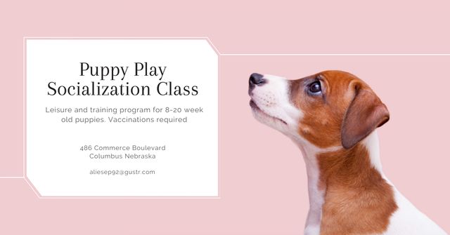 Puppy play socialization class Facebook ADデザインテンプレート