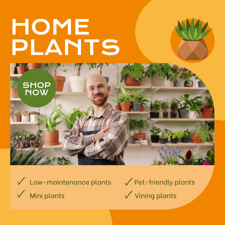 Houseplants In Pots Variety Offer Animated Post Design Template