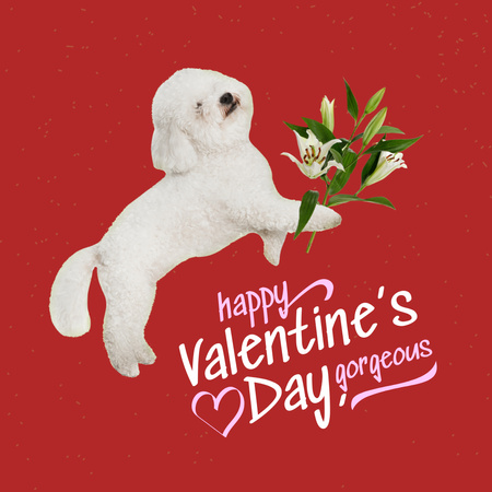 Cute Valentine's Day Holiday Greeting Instagram Modelo de Design