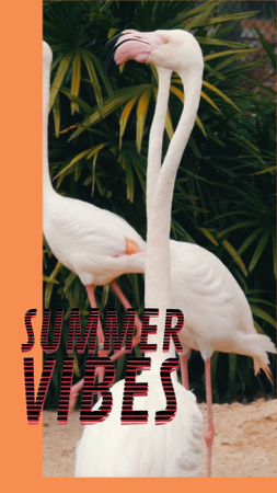 Summer Vibes with White Flamingos TikTok Video – шаблон для дизайна