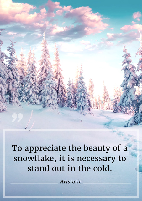 Citation about Beauty of Snowflake Poster Tasarım Şablonu