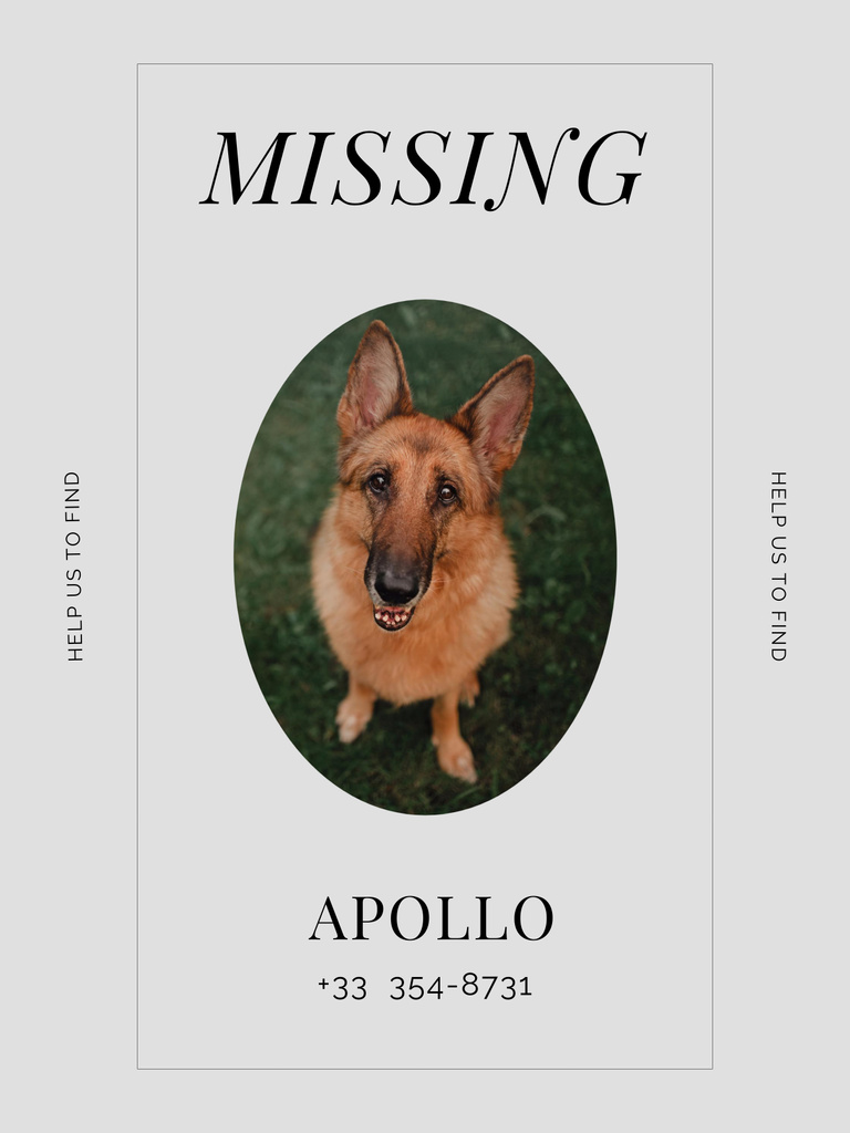 Eye Catching Announcement about Missing Nice Dog Poster 36x48in Modelo de Design