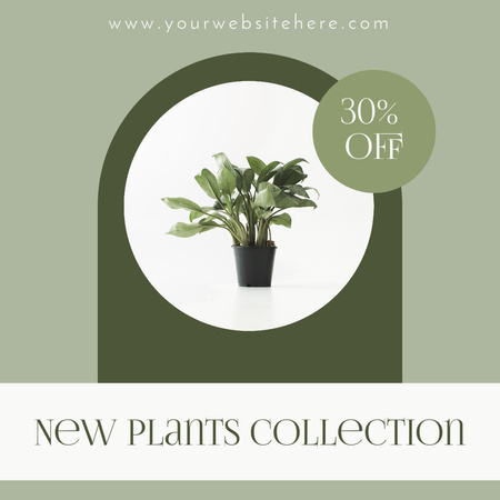 New Plant Collection With Discount Instagram Design Template