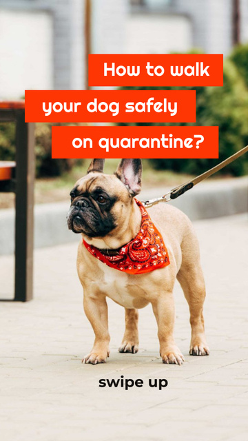 Designvorlage Walking with Dog during Quarantine für Instagram Story