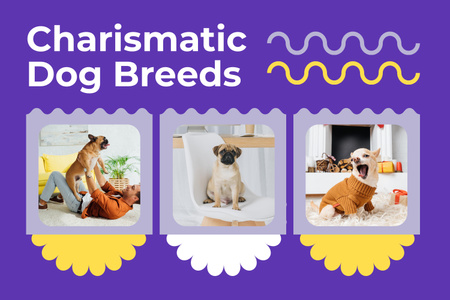Most Charismatic Dog Breeds Promotion Mood Board Design Template