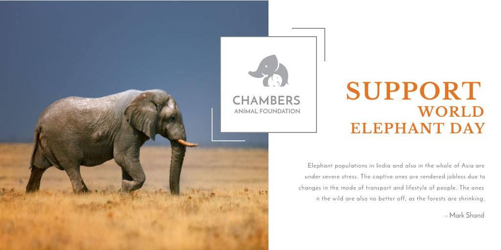 Charity for Elephant protection Image Design Template