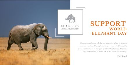 Support world elephant day poster Image Design Template