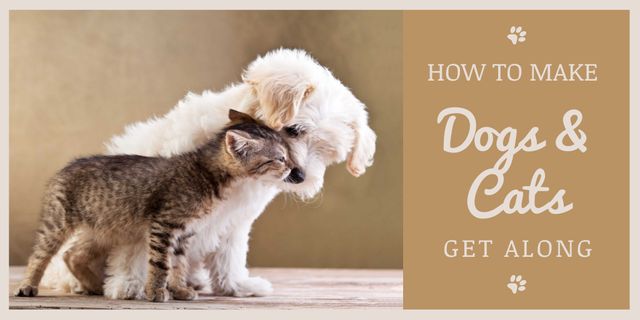 Designvorlage Pets Behavior with Cute Dog and Cat in Brown für Twitter