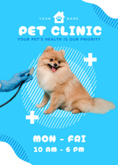 Pet Clinic Ad with Spitz on Blue