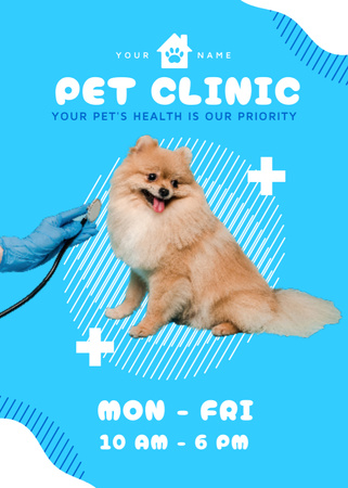 Plantilla de diseño de Anuncio de clínica de mascotas con Spitz en azul Flayer 