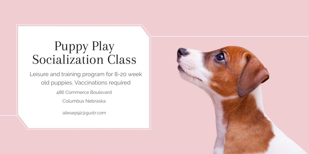 Plantilla de diseño de Puppy play socialization class Twitter 