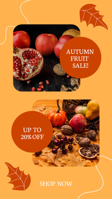 Autumn Fruit  Sale Instagram Story Design Template
