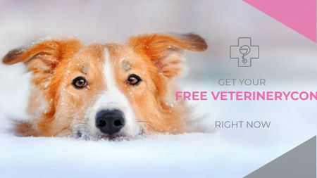 Free veterinary consultation Offer Title tervezősablon