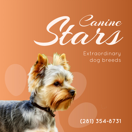 Pet Breeder Showing Extraordinary Dog Breeds Animated Post Design Template