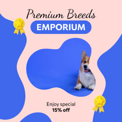 Premium Dog Breeds With Special Price
