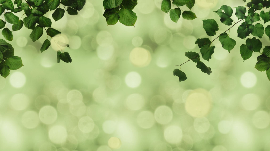 Plantilla de diseño de Hanging greens with glare Zoom Background 